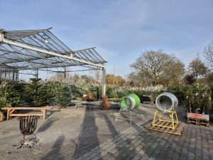 Verzorgingstips kerstbomen