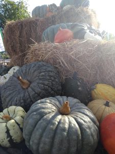 Herfstfeest