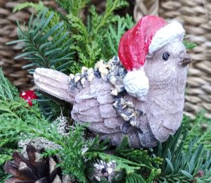Winterworkshops