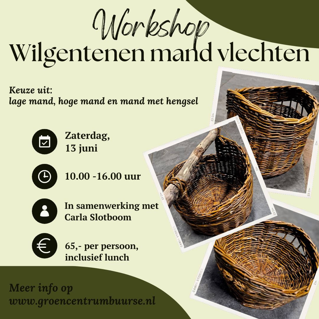 Mand vlechten