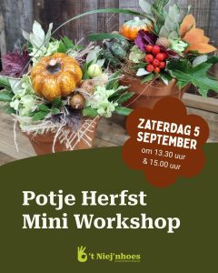 Mini Workshop Potje Herfst
